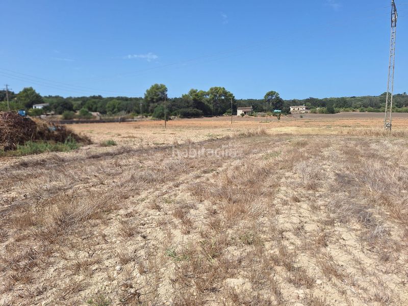 Foto 7355cbec-ad34-4a87-8778-2bb4f2ad9763. Terreny residencial a Sineu