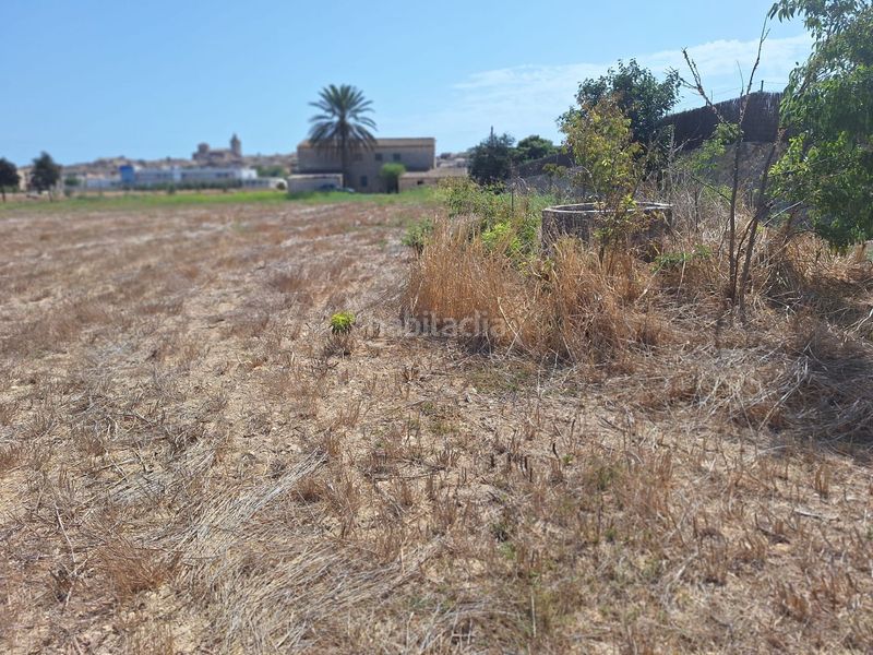 Foto c6bb5a22-89e6-4736-ac9e-26cfc31888ce. Terreny residencial a Sineu