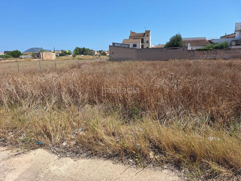 Foto 2ccd8784-1896-4a4a-89c5-b1f8b7d346d5. Terrain résidentiel dans Sa Pobla