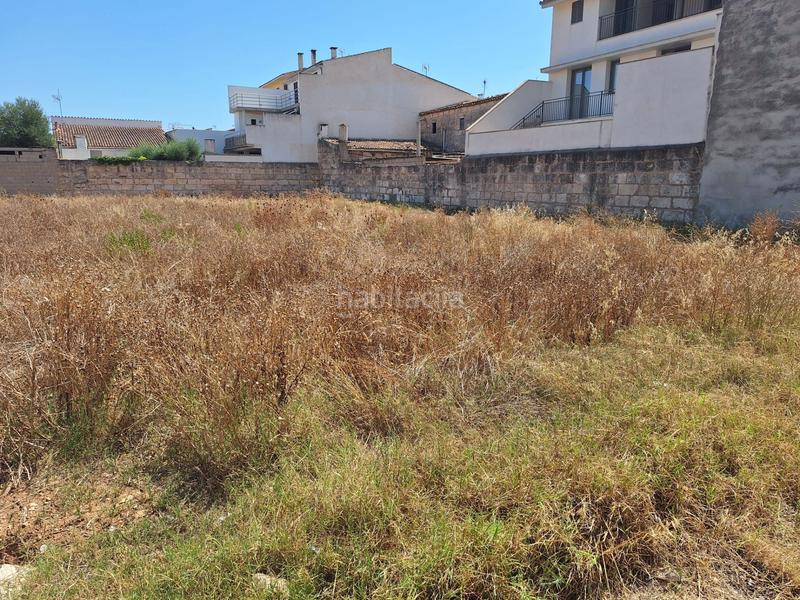 Foto b4b526da-cb34-4ea0-ab66-6336b6b46179. Terrain résidentiel dans Sa Pobla