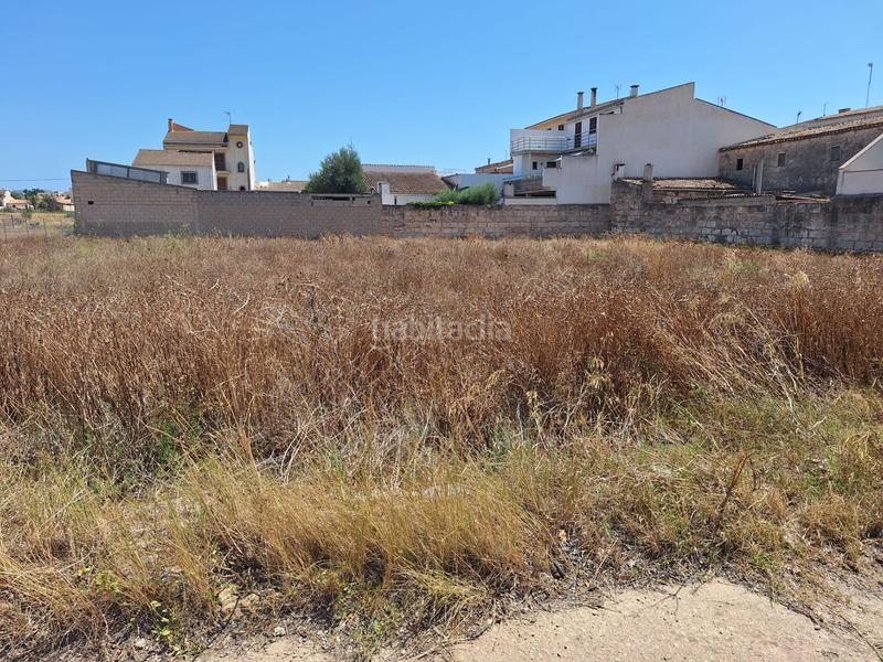 Foto c90e5e1e-d875-4e2c-a837-b792f1f984e8. Terrain résidentiel dans Sa Pobla