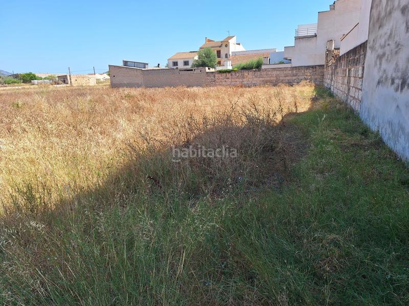 Foto e5d229ed-ed36-445e-ac4a-e8956961bec9. Terrain résidentiel dans Sa Pobla