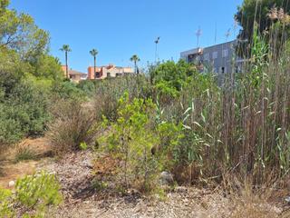 Terreny residencial a Muro