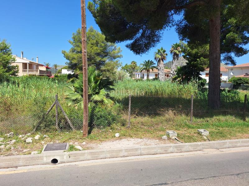 Foto 6895decf-274c-4ee1-a09b-371a278607ea. Terreno residenziale in port d´Alcúdia-platja dálcúdia Alcúdia