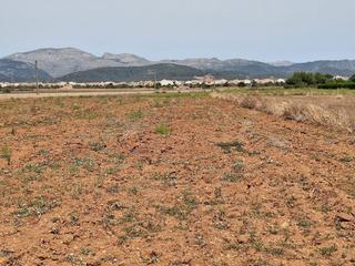 Masia a Sa Pobla. Magnifica finca edificable en sa pobla