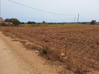 Residential Plot in Búger