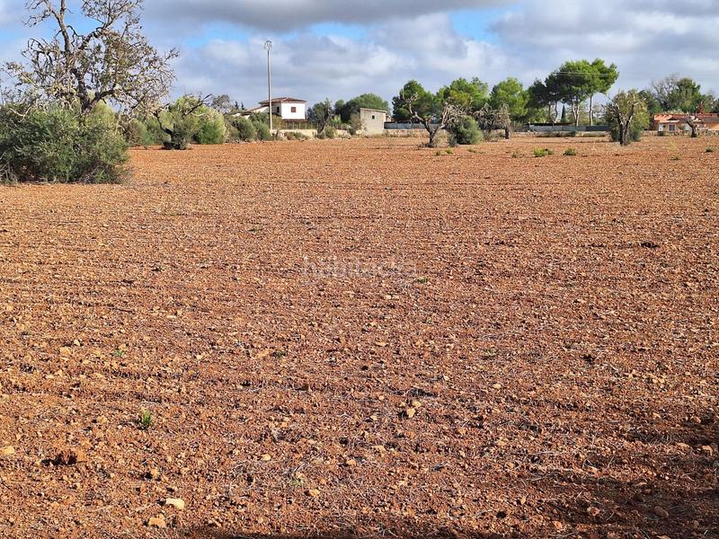 Foto efda12ff-a9c7-42e1-96e7-c3b2848391eb. Terreny residencial a Llucmajor interior Llucmajor