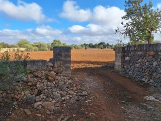Residential Plot in Llucmajor Interior