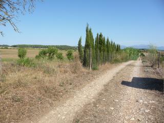 Finca rústica a Algaida