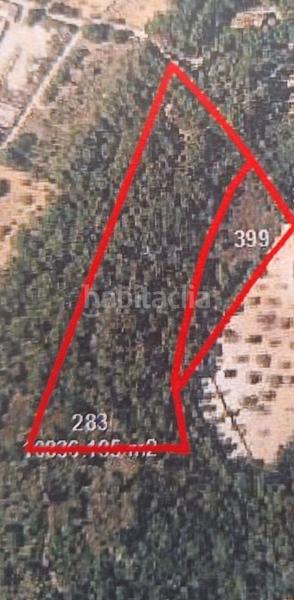 Foto 27c87b7a-2ca3-4e62-99c9-241ab111f9fe. Finca rústica a Algaida