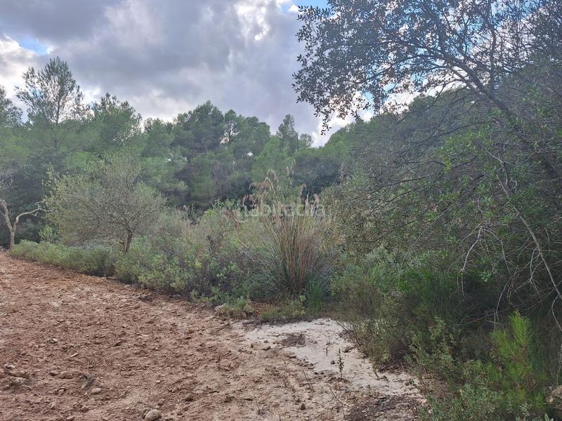 Foto be2fb9e4-4f75-4d77-97a8-1fd0d38c72f0. Finca rústica a Algaida