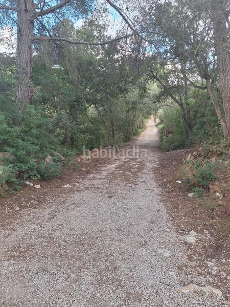 Foto dc7fad0e-576e-4d71-be25-bfbe2cf06af7. Finca rústica a Algaida