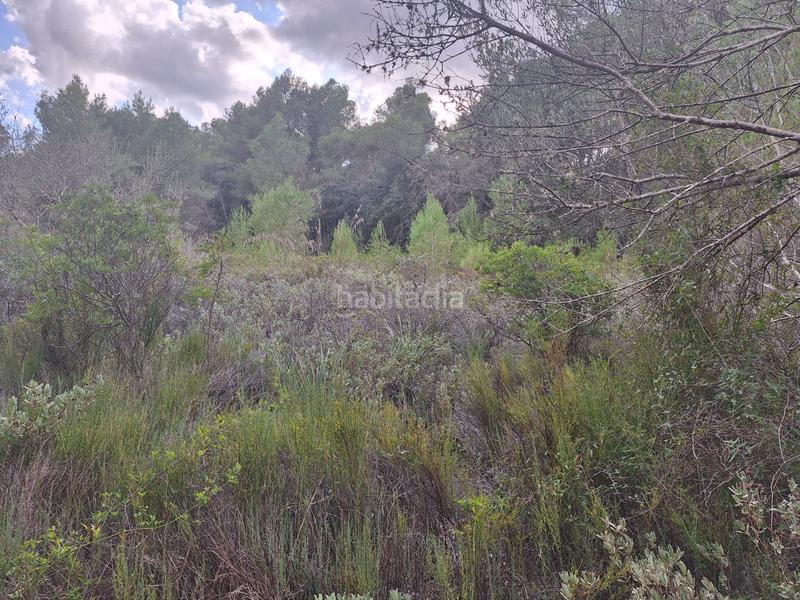 Foto 1cf4b9c1-b65a-4789-abc0-90b0195d7f26. Wohngrundstück in Algaida