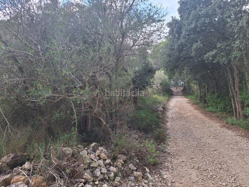 Foto e18c121c-238d-4e8c-aa20-4a379b53906f. Wohngrundstück in Algaida