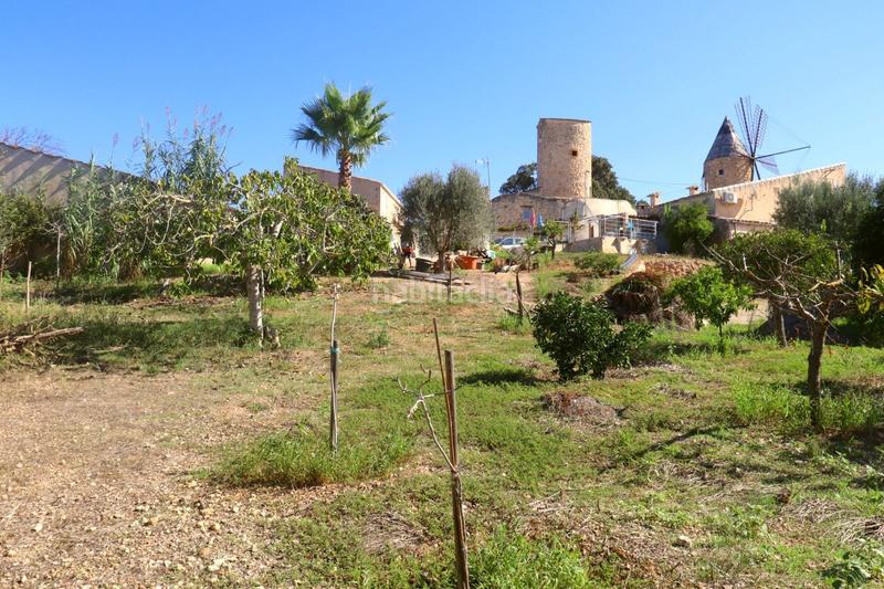 Foto 43729262-f894-41d3-904c-6a23cfccd5d6. Miete haus mit heizung pool in Sineu