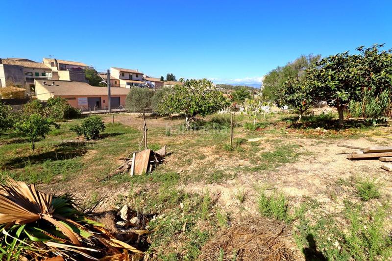 Foto 7e3c8127-1893-4a06-ba5e-f6355bf189c2. Rent house with heating pool in Sineu