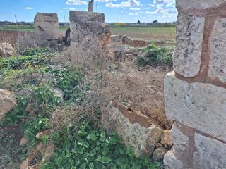 Wohngrundstück in Sa Pobla. Terreno cultivable con pozo de agua y una antigua noria