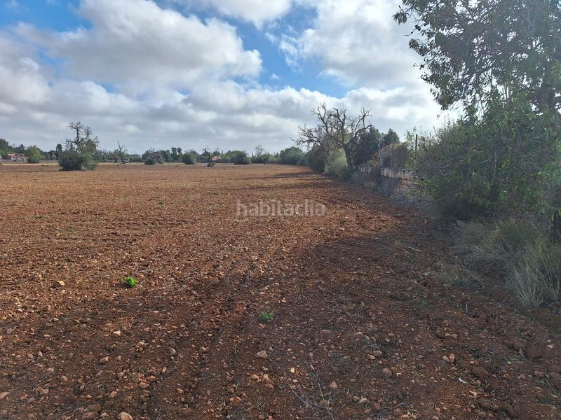 Foto 2062ccec-00e6-4239-a613-b4cf6e62a208. Propriété dans Campos