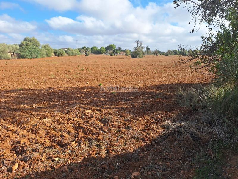 Foto 7730577f-1686-4646-b151-857fc7d1f7e0. Propriété dans Campos