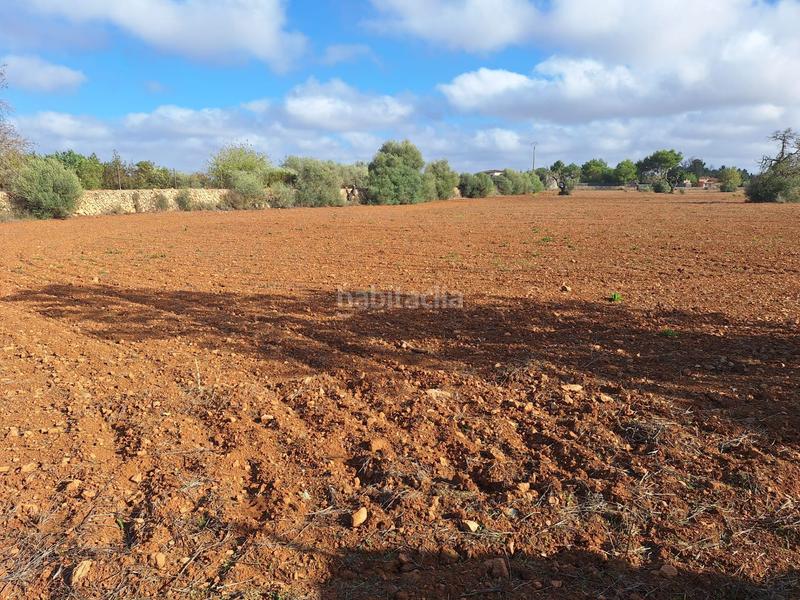 Foto bf644fcd-02bb-468e-b4c1-3621f601d5d8. Propriété dans Campos