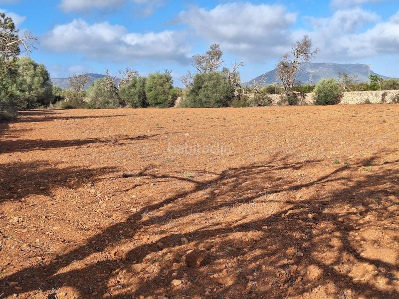 Foto c25cadcf-79fa-454b-aa05-b8cd9b863ea8. Propriété dans Campos