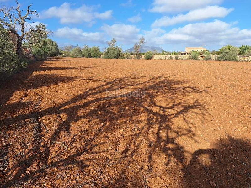 Foto cbb0b538-4705-42c9-8ee7-a6870bf5c830. Propriété dans Campos