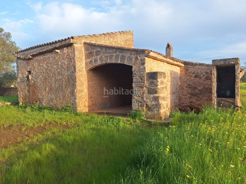 Foto 04101b11-78d2-49f5-91f1-b5d3c001d7d4. Masia a Algaida