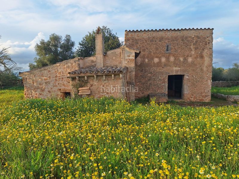 Foto 0af87a33-f2b6-4099-b2ec-224936ffedd9. Masia a Algaida