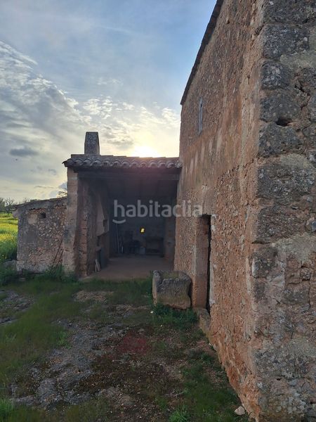 Foto 4327fe87-3908-4d22-967c-e3d7dd5bf6fb. Masia a Algaida