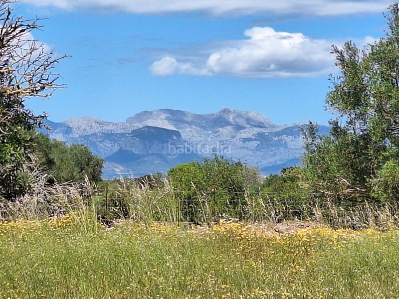 Foto 65795e30-81a5-44b9-a3ce-084be58680bb. Masia a Algaida