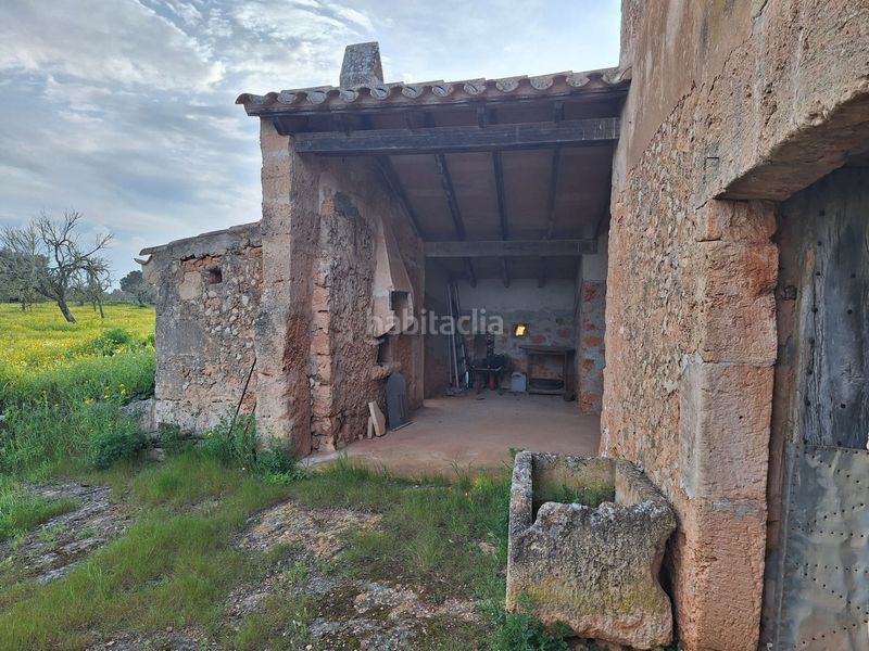 Foto 6833225e-9297-40f7-85bd-0637f34cf00b. Masia a Algaida