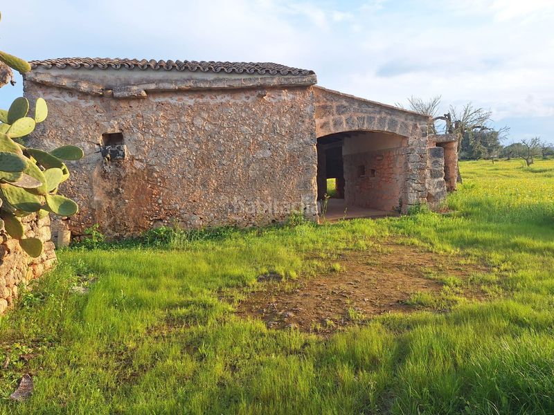 Foto 99415acb-d55c-42e7-99af-824803e2e759. Masia a Algaida