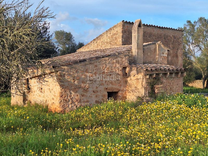 Foto f50e35c0-8b35-45c1-b0bb-1d0cf1509cfa. Masia a Algaida