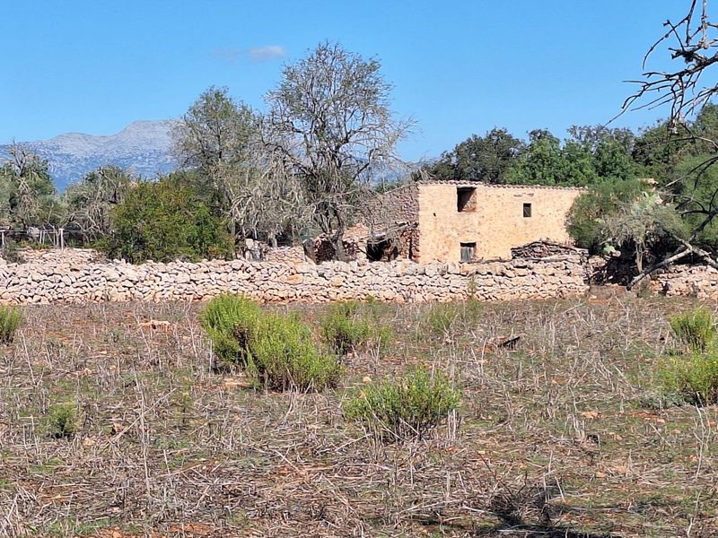 Foto 04787070-77fa-4187-97f5-6f1eb07c9331. Masia a Costitx