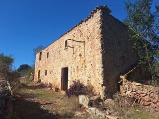 Mas à Costitx. Se pone a la venta una finca en un entorno idílico
