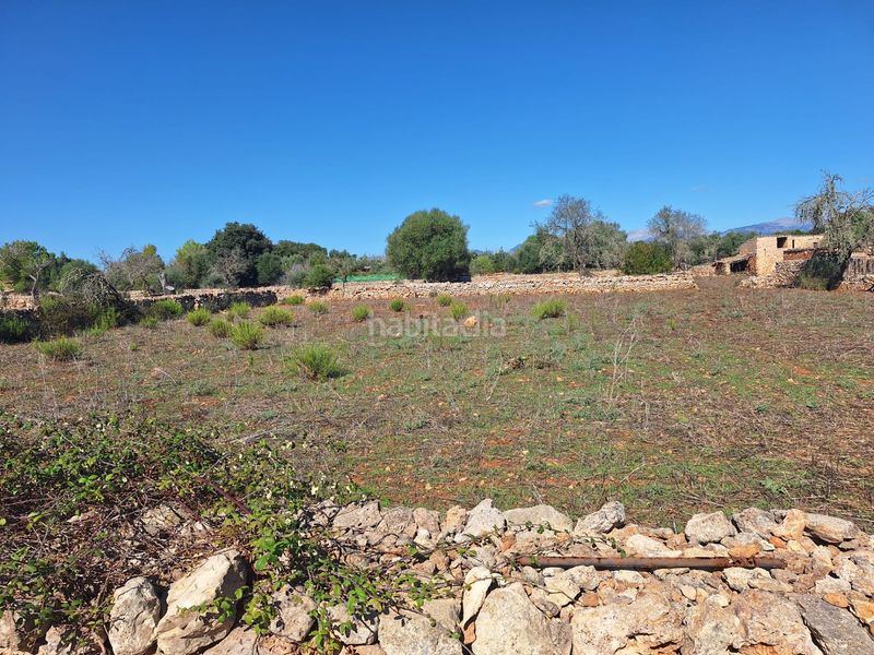 Foto 8b95ce53-7ed9-4ed9-a04f-86fe480a683c. Masia a Costitx