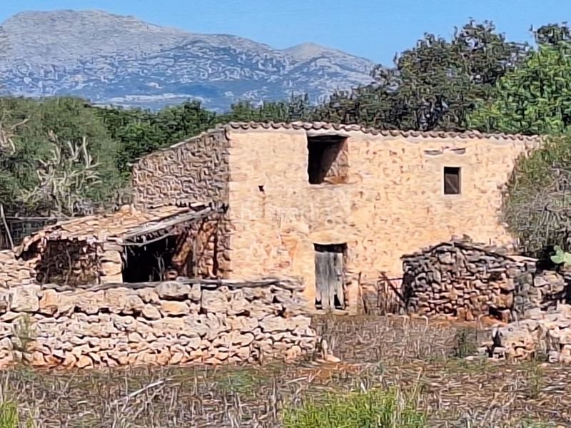 Foto 95ce1645-b557-4941-b6c0-39a5f54c9a0f. Masia a Costitx