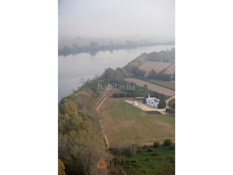 Foto 28eae2d7-3b45-4610-8312-a115c7f13afe. Finca rústica a Eucaliptus - Poble Nou del Delta Amposta