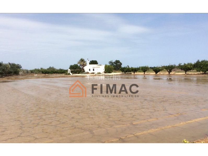 Foto 6ff84f51-a054-4a2f-b457-2f5d7d32313b. Finca rústica a Eucaliptus - Poble Nou del Delta Amposta