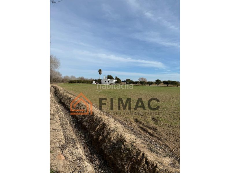 Foto 8612c370-8ac1-43a8-8e23-06e089b4294b. Finca rústica a Eucaliptus - Poble Nou del Delta Amposta