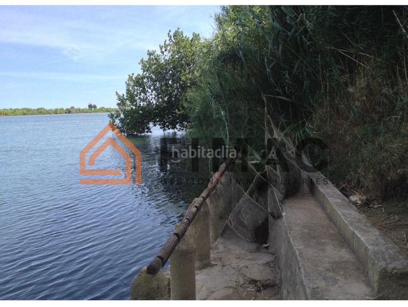 Foto 88e777d9-56c3-4415-9e77-ff7e67e85eba. Finca rústica a Eucaliptus - Poble Nou del Delta Amposta