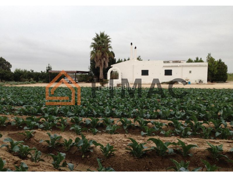 Foto cc87d021-1b57-4d83-9ccb-a5b4f04ad33b. Finca rústica a Eucaliptus - Poble Nou del Delta Amposta