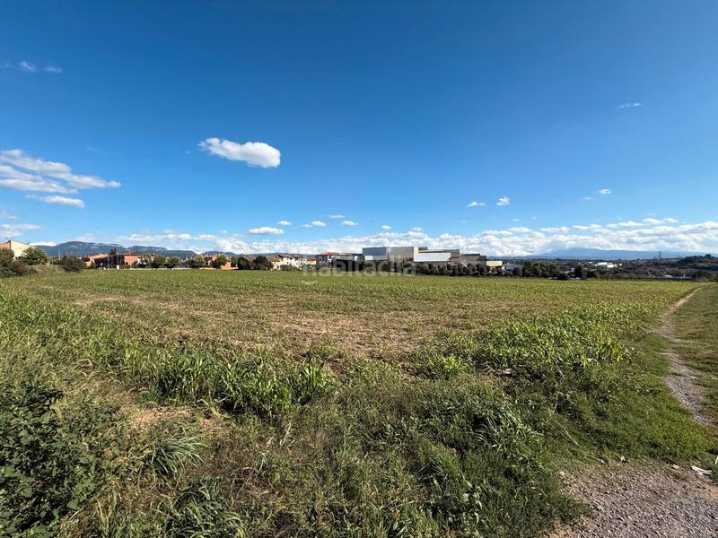 Foto 655a298e-87de-4013-9894-1e0370cf9ea1. Rural plot in Sant Vicenç de Torelló