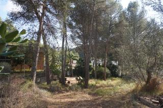 Wohngrundstück in Monteamor-La Carrasca-El Peucal. Gran parcela urbana en venta en urbanización la carrasca!parcela