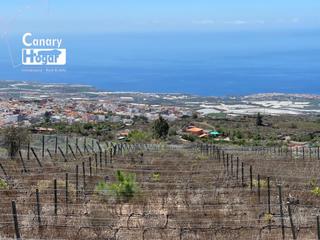 Casa a Guía de Isora Interior. Finca de viñedos con casa en venta en guia de isora tenerife