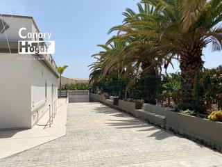 Masia a Guaza. Finca platanera en venta  de platanos ecológicos guaza arona