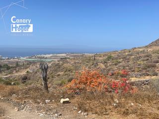 Terreny residencial a Chayofa. Parcela urbana en venta en chayofa arona