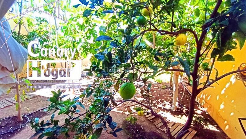 Foto 78a8c32a-60c2-4826-87eb-90f55d08837d. Apartament amb aparcament piscina a Playa Fañabé Alto Adeje