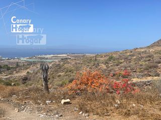 Terreny residencial  Tinguafaya (tinguafaya). Parcela urbana en venta en chayofa arona