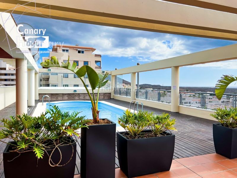 Foto b736872a-7c4e-41e0-911e-83861361d3b2. Apartament amb piscina a Palm - Mar Arona